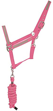 HyVIZ Reflektor Halfter und Führstrick (Full) (Pink)