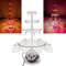 Dbtxwd Red Wine Party Fountain, Plastic 3 Tier Transparent Drink Fondue Fountain with 5 Cups And LED Lighted Base