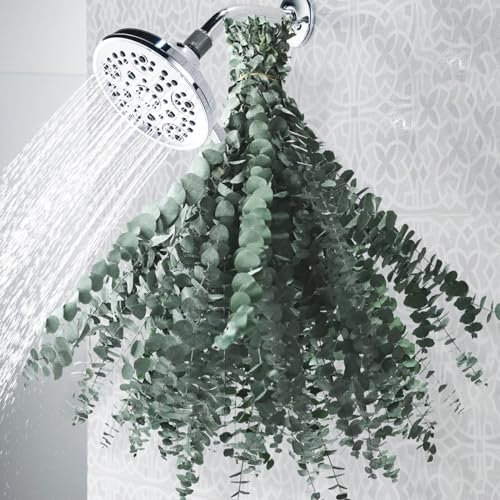 32PCS Dried Eucalyptus Stems for Shower - 17'' Large Preserved Real Eucalyptus Leaves Bundle, Made from Fresh Eucalyptus Green Plant for Shower Hanging, DIY Artificial Flowers, Bathroom Decor