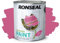 ARUUJ - Garden Paint, Fence Paints, Weather Resistant Outdoor Matt Paints, Water Based Paint For Sheds, Metal, Terracotta, Easy to Apply, Long-Lasting Colour & Protection (Pink Jasmine, 2.5L)
