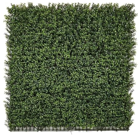 CATRAL Jardín Vertical Boj para Jardín Vertical Pared y Balcón 100X100CM