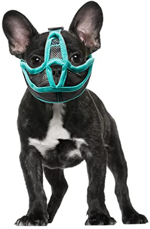 Sonew Maulkorb für Hunde mit kurzer Schnauze, Größe S bis XL, optionaler atmungsaktiver Netzmaulkorb zum Beißen, Kauen und Lecken, flacher Maulkorb für Französische Bulldogge, Shih Tzu und Mops (L)