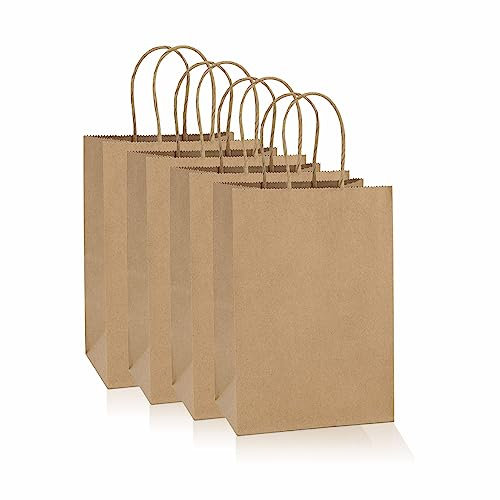 Kraft Bags With Twisted Paper Handles Sustainable Party Bags Food Carrier Bags For Fruits Gifts Sandwiches Groceries Brown Color Craft Packaging Bags Measure Pack of 4 (9 X 15 X 20.5cm)