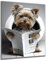 DARO Design - Bilder Deko Gäste WC Wandbild Badezimmer Bad Toilette Kunstdruck Bild auf 6mm HDF 56x84 cm Yorkshire Terrier Wanddeko - lustige Wandbilder Leinwand Poster Aesthetic Room Decor Hund Dog