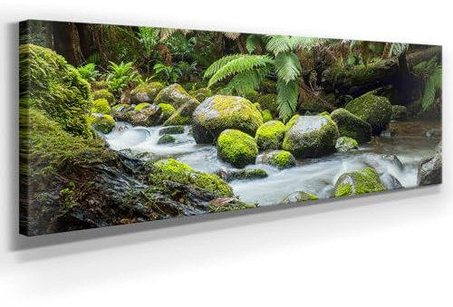 Wunderschönes Leinwandbild Wald Panorama 150x50cm – Ein einzigartiges Foto - Waldbach – als Wandbild. Eine schöne Wanddeko für Wohnzimmer & Schlafzimmer. Aufgespannt auf Holzrahmen
