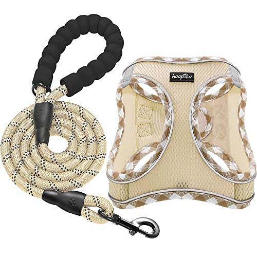 haapaw Dog Harness with Leash Set, No Pull Adjustable Reflective Step-in Puppy Harness with Thickened Padded Vest for Extra-Small/Small Medium Dogs