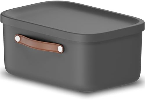 Rotho Maloja Aufbewahrungsbox 12 l, Kunststoff, anthrazit, 12 (39.5 x 26.5 x 17.7 cm)