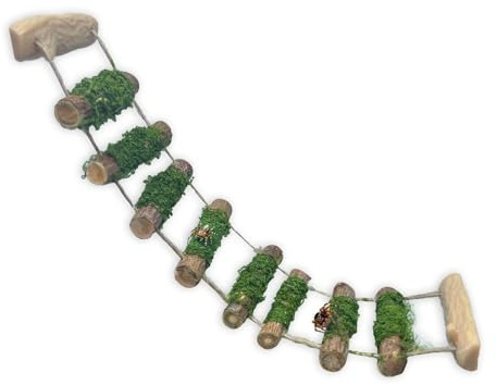 Springende Spinnenseilbrücke, eine Kletterbrücke aus Massivholz, EIN Springspinnengehege, handgefertigt, eine Spinnensprungplattform, als dekoratives Zubehör für kleine Reptiliengehege verwendet