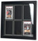 Bivitre PSA CGC TAG Graded Card Display Frame - Wall Mount Sport Trading Card Display Case Display Card for Baseball Basketball Football Hockey Pokemon MTG (6 Platten)