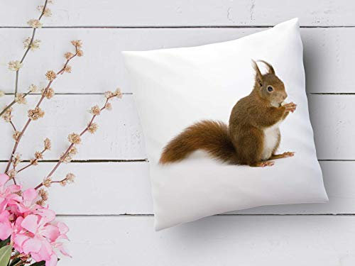 Kissen mit Print Eichhörnchen Landhausstil Waldtiere