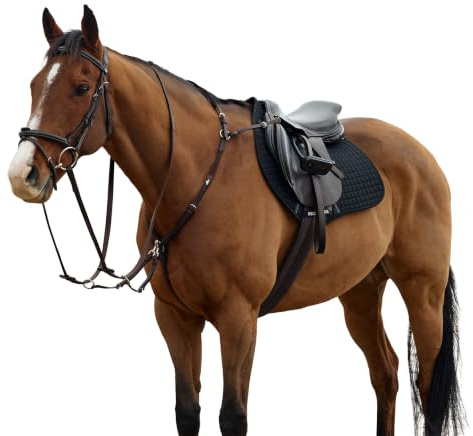 Collegiate ComFiTec Opulux 3-Point Padded Breastplate & Running Martingale