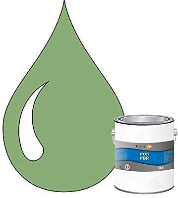 POK Peinture fer antirouille - Laque extérieure Semi-Brillante FER - 1L - RAL 6021 Vert pâle