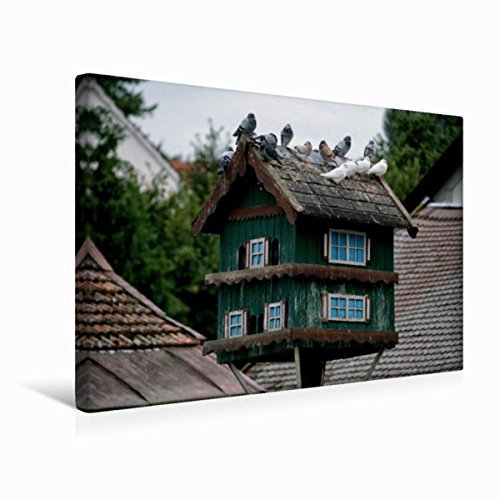 CALVENDO Taubenhäuser aus dem Dachauer Land