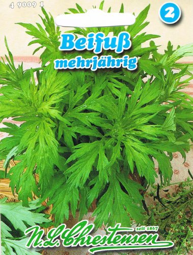Beifuß mehrjährig, stark aromatisch, Gewürz