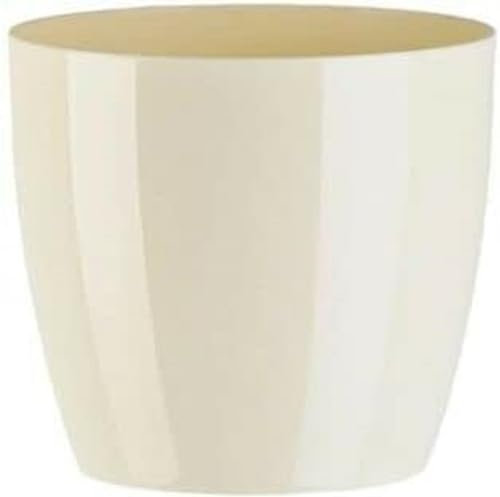 B2C Plant Pot Flower 20 Colours 9 sizes Gloss Plastic Plant Pots Planter Saucer Tray Deco (14 cm/ 5.5 inch, Ecru)