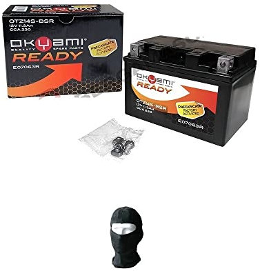 Compatible avec Benelli TNT Café racer 1130 2005-2008 Batterie OKYAMI déjà prête à l'emploi OTZ14S-BSR Charge scellée activée en usine, 11,2 Ah ampère 12 V