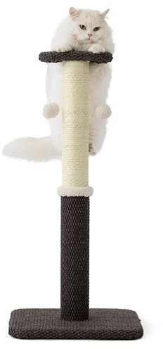 Lesure Indoor Kratzstamm groß Katzen – 86 cm Kratzsäule für Katzen mit Plattform aus strapazierfähiger Teppichstoff, Kratzbaum Grosse Katzen stabil mit Sisal und hängendem Ball, braun