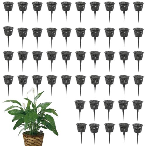 Engrais pour orchidées, boîte d'engrais de jardin – Engrais de jardin Paniers d'engrais Boîte spéciale Outils de jardin pour orchidées