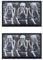2 Stück Witzig Schädel Bruder Bestickte Applikation Lustiges Biker Fun Moral Patches für Taktische Airsoft Cosplay Paintball Kleidung Rucksack Uniform Hunde Weste