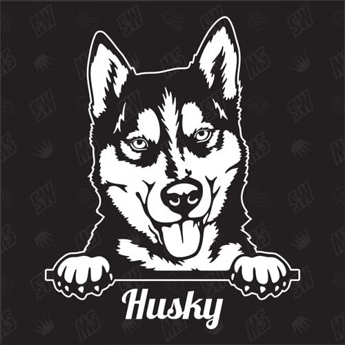 Husky Version 3 - Sticker, Aufkleber, Hundeaufkleber, Autoaufkleber, Hund, Auto, Hunderassen, Mischling, Mix, Tiere, Haustier (AUCH MIT Wunschname MÖGLICH)