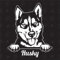 Husky Version 3 - Sticker, Aufkleber, Hundeaufkleber, Autoaufkleber, Hund, Auto, Hunderassen, Mischling, Mix, Tiere, Haustier (AUCH MIT Wunschname MÖGLICH)