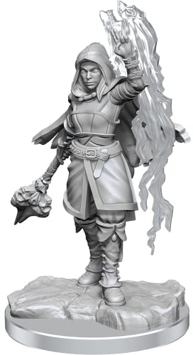 WizKids - D&D Nolzurs Marvelous Miniatures: Half-Elf Warlock - Wave 20
