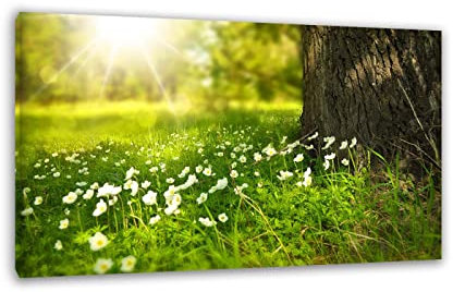 Leinwanddrucke Wandkunst Blumen – Blumenwiese – Blumen Gemälde Bilder Druck auf Leinwand – Blumenlandschaft Bild Poster – Moderne Wohnzimmer Wanddekoration 81 x 129 cm (31,9 x 50,7) gerahmt
