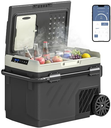 Outsunny Glacière Électrique Voiture 40L Double Zone pour Voiture Noir