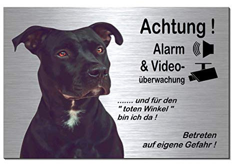 Pitbull-Alarm + Videoüberwachung-Hund-Schild-Hundeschild-300 x 200 x 3 mm-Aluminium Edelstahloptik-Hunde-Tierschild-Warnschild-Hinweisschild (133-23 Alu.-silber 30 x 20 cm mit Löcher)
