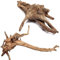 Esenlong Aquarium Ornament Natürliche Treibholz Landschaftsbau Dekoration Toten Holz Baum Wurzel Dekor für Haus Aquarium (Gelegentliche Form)