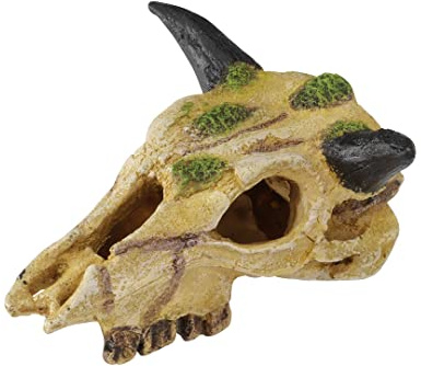 Terra Della Caraboa Schädel S - 22 cm