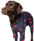 Spark Paws Hundepyjama, ultraweich und 4-Wege-Stretch, Erholungsanzug nach Operation, Schlafanzug Onesie für Kleine, Mittlere und Große Hunde - Hearts - 3XL