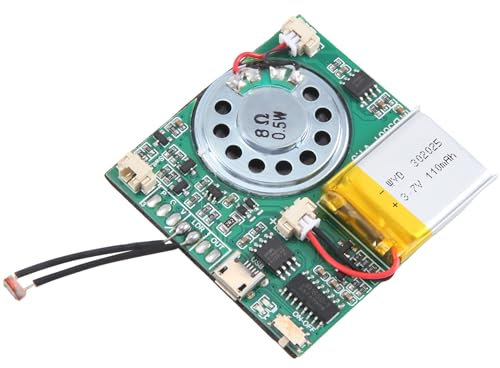 Ruuizksa USB-Aufnahme-Musikmodul DIY MP3-Aufnehmbares Soundmodul USB-Herunterladbares Soundmodul Grün, Lichtsteuerung 1 Stück, 00454713A2