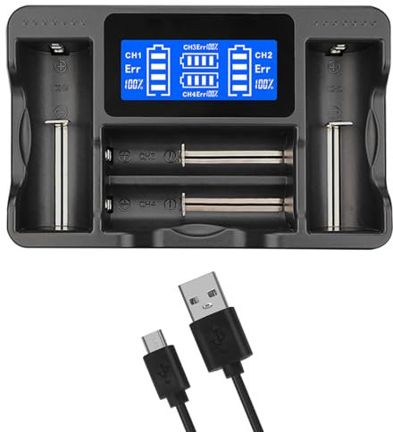 LEIDJGUN LCD Display Battery Ladegerät 4-Kanal Für 18490 18500 18350 17670 16340 RCR123A 14500 104440 Wiederaufladbare Batterien
