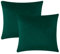 AMEHA 2er Set Samt Kissenbezug 45 x 45 cm Dekorative Quadrat Wurf Modern Kissenbezug grÃn Wurfkissenbezug mit Verstecktem Reißverschluss Sofakissen Wurfkissenbezug Samtkissen