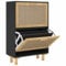 vidaXL Schuhschrank Schuhablage Schuhregal Schuhständer Schuhaufbewahrung Schuhkipper Schuhkommode Schwarz 52x25x80cm Holzwerkstoff Rattan Natur