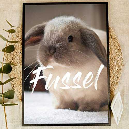 Elbeffekt Mein Kaninchen Holzbild - Foto Geschenk - personalisierbar zum Hinstellen/Aufhängen optional beleuchtet Kaninchen Zubehoer, Kaninchen Spielzeug, Mein Kaninchenstall Poster - Hasen Geschenk