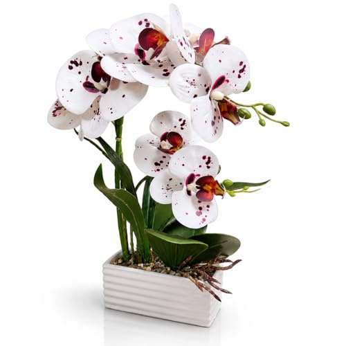 PASCH® Orchideen künstlich in gewelltem Keramiktopf (40cm) | Kunstblumen im Topf | Kunstblumen wie echt | künstliche Orchideen im Topf | künstliche Blumen im Topf (Weiß-Bordeaux)