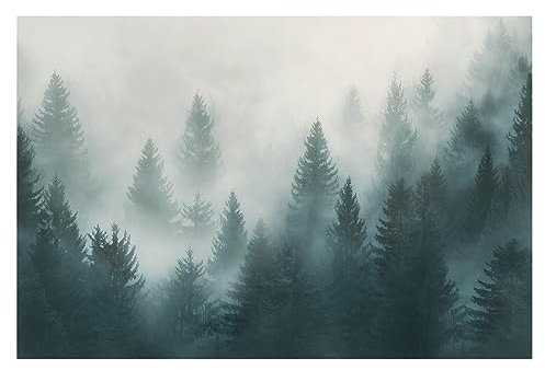 Bilderwelten Fototapete Wald 225 x 336 cm Vlies-Tapete XXL Waldtapete Nadelwald im Nebel Smart Wandtapete Wanddekoration Wohnzimmer Schlafzimmer