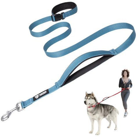 TSPRO Freihandleine Hund für Mittel bis Große Hunde, Verstellbar und Dauerhaft, mit Weichem Gepolstertem Griff und Metallschnalle (Blau)