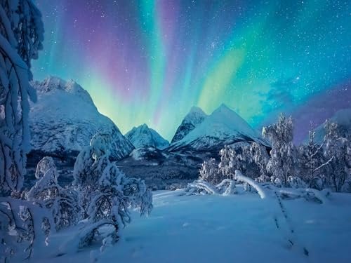 Ravensburger Puzzle 12000802 - Wenn die Nordlichter tanzen - 1500 Teile Puzzle für Erwachsene ab 14 Jahren