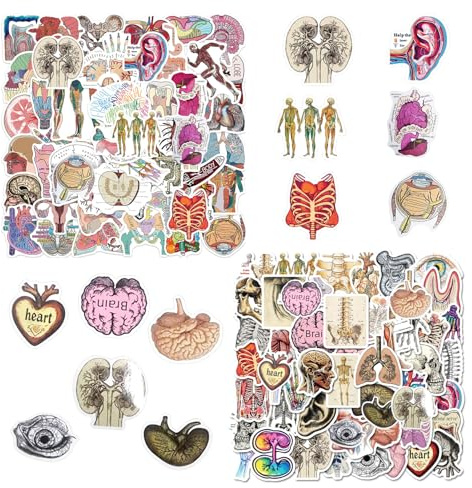 RELKLYU 100 Anatomische Aufkleber, Orgelaufkleber, Cartoon -Graffiti -Aufkleber, Die Computer, Sammelalben, Skateboards Und Koffer Dekorieren.