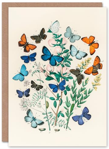 Artery8 William Forsell Kirby Art Card Blue and Orange Butterflies