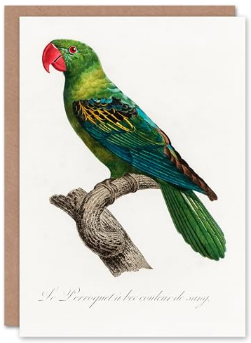 Artery8 Francois Levaillant Art Card The Great Billed Parrot