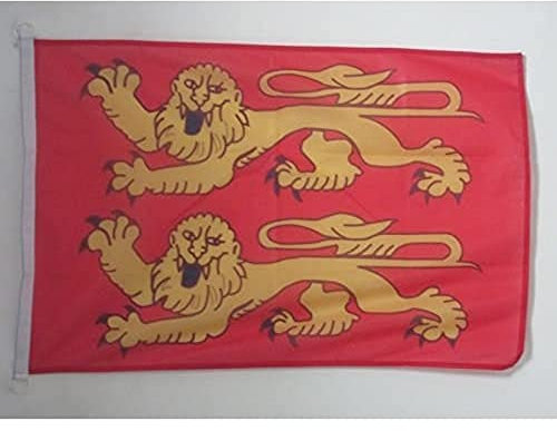 AZ FLAG - Drapeau Basse-Normandie Spécial Extérieur - 90x60 cm - Pavillon Nautique Bas-Normand - France En Maille Bloquée Avec Anneaux Plastiques Intégrés - 80g