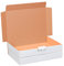 smiley pack 100 Maxibriefkartons 320 x 225 x 50 mm weiß (100 Stück) DIN A4 Maxibrief Versandkarton für DHL DPD GLS Hermes Warensendung Büchersendung mit Steckverschluss