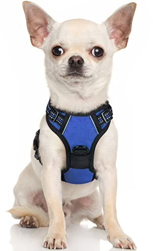 rabbitgoo Hundegeschirr Kleine Hunde, Anti Zug Geschirr mit Kontrolle, No Pull Verstellbar Hundegeschirr Grosse Hunde, Atmungsaktiv Reflexstreifen Brustgeschirr Sichere Führung Blau XS