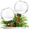 2 Pack Globos De Riego De Plantas 500ml, Goteros De Riego Automático De pl ástico con Cono De Goteo, Autorriego Globos Bolas De Riego, Dispensadores De Agua para Macetas Flores Exterior Interior