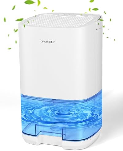 Birnetek® 1L Deshumificadores de Humedad, Deshumidificador Silencioso, Cobertura Hasta 30 m2, Deshumidificador Electrico para Dormitorio, Baño, Armario, Deshumidificación-350 ml/día