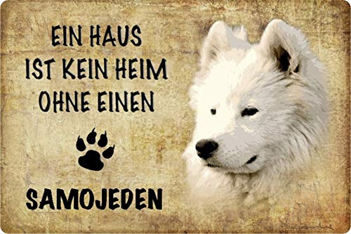 Schatzmix Blechschild Hund Kein Heim ohne Samojeden Metallschild Wanddeko 20x30 tin Sign